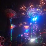 Singapore gardens by the bay