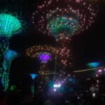 Singapore gardens by the bay