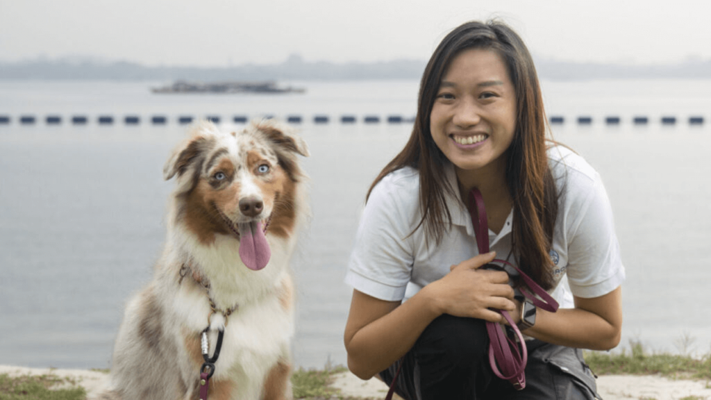 Petcoach local SEO case study: Official image from Petcoach