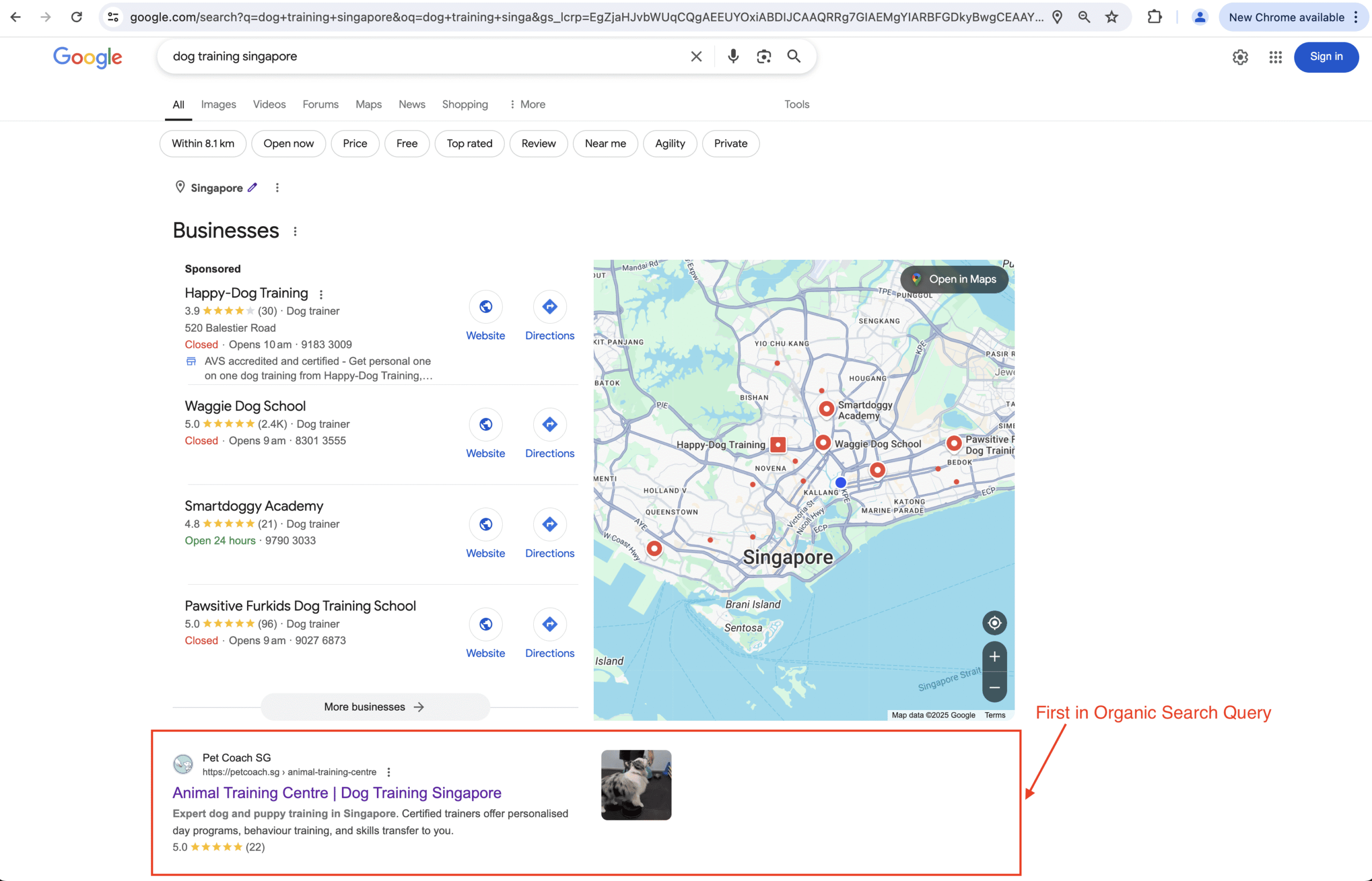Petcoach ranking number 1 in local search for Singapore dog training
