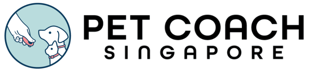 Pet Coach Singapore