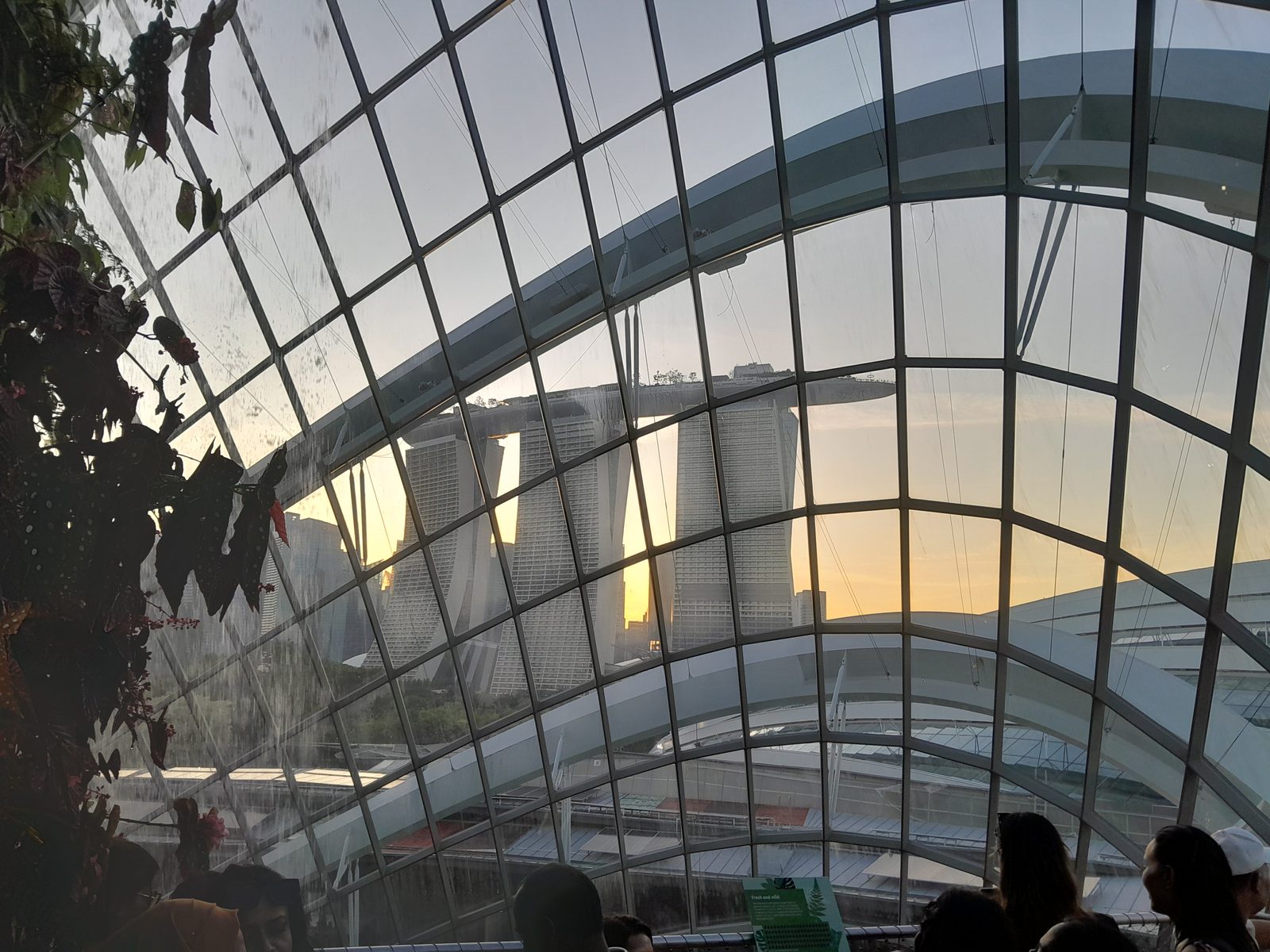 Singapore photo 3
